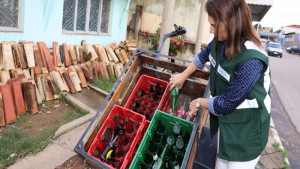 Subúrbio, Cajazeiras e Centro Histórico são as regiões com maior infestação de larvas de mosquito da dengue em Salvador